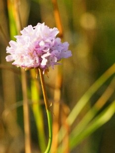 DSC02008_2